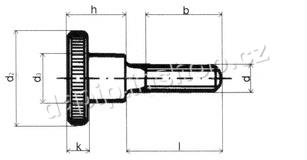 M6*25 - FE - ( BALENÍ 25 KS )
