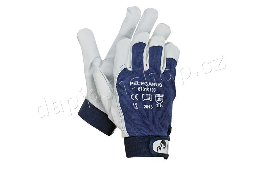 PELECANUS - FREE HAND