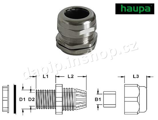250606 - HAUPA